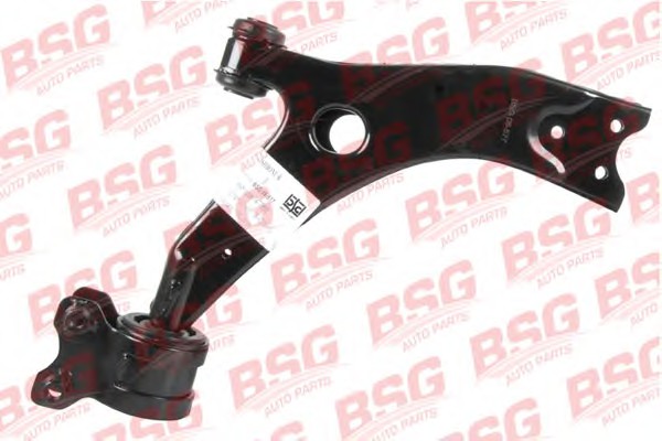 bsg30315017
