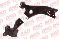 bsg30315017